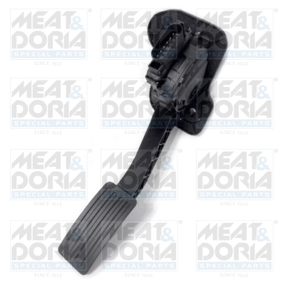 Accelerator Pedal Unit
